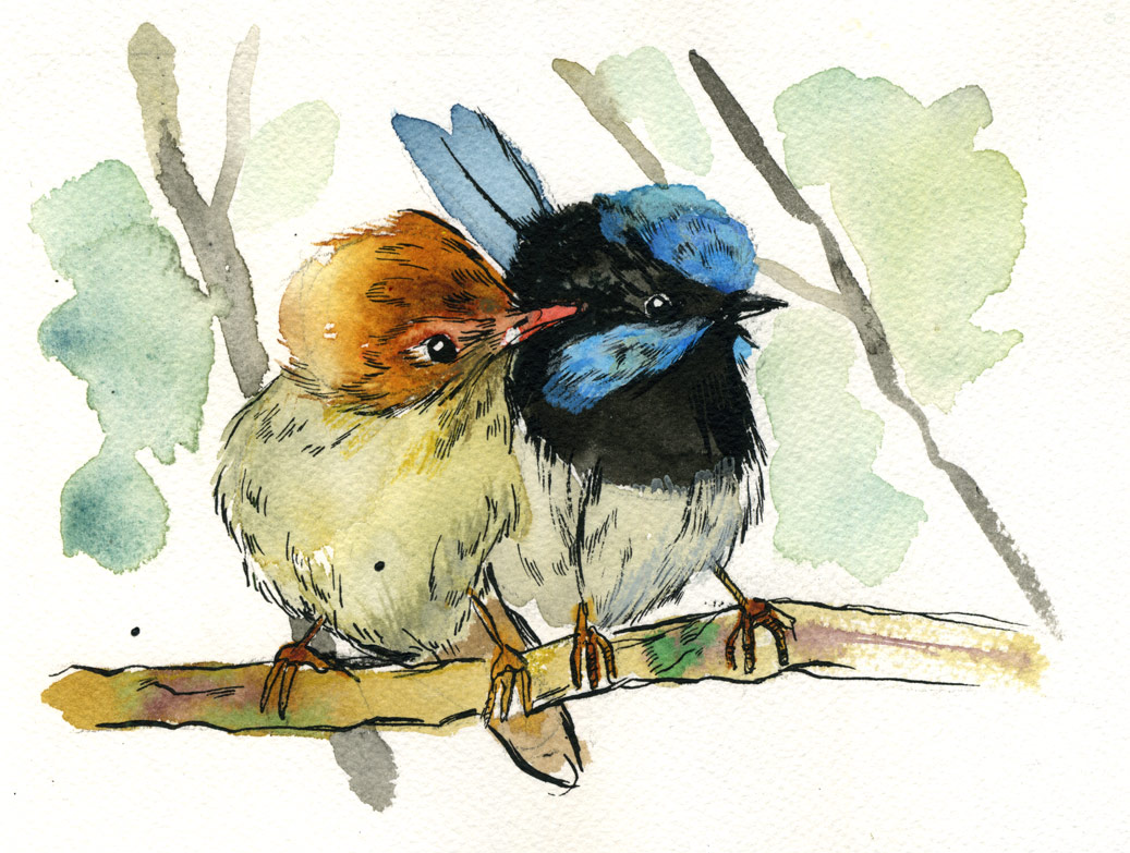 MC drawn: Blue birds: Watercolour, pencil, ink and nib