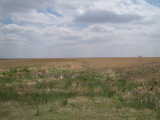 Fields