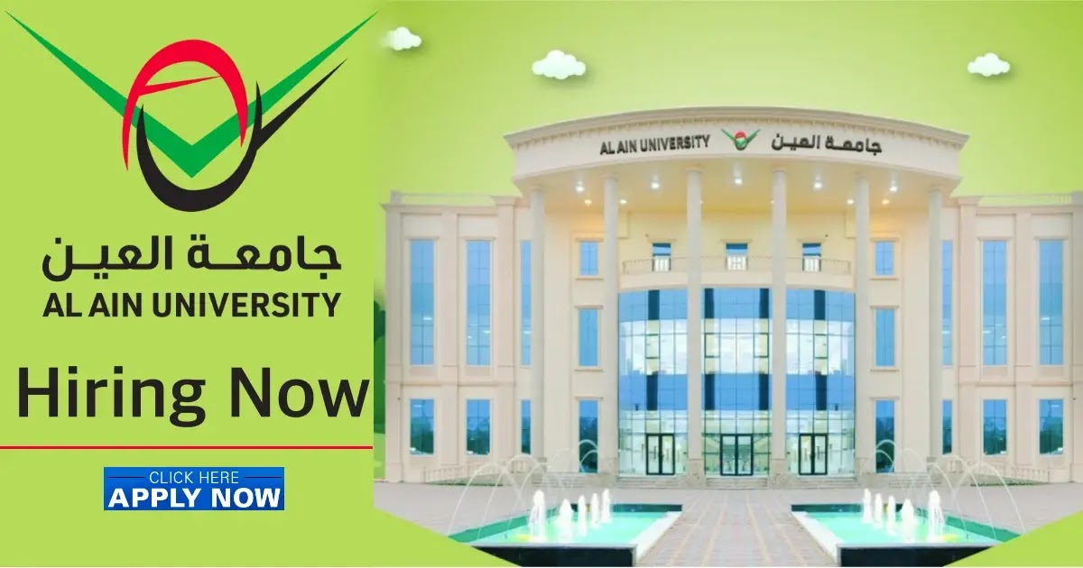 System Developer - Al Ain University jobs