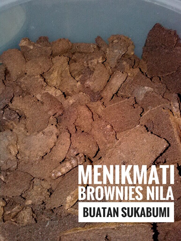 Contoh Business Plan Brownies - Contoh Business Plan Brownies - Template business plan ini ... - Kamu tinggal unduh sesuai dengan prosedur yang ada.