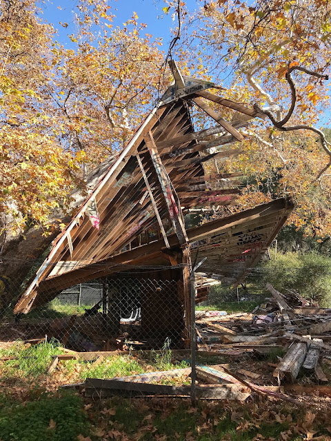 murphy's ranch stables