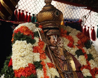 Thanga Pallakku, Thiruavathara Utsavam,1000th Birthday ,Udaiyavar ,Udayavar,Sashrabdhi Utsavam, Ramanujar,Emperumanar, Thiruvallikeni, Sri PArthasarathy Perumal, Temple, 2017, Video, Divya Prabhandam,Utsavam,