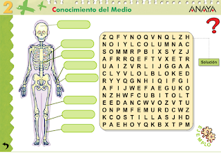 http://www.ceiploreto.es/sugerencias/A_1/Recursosdidacticos/SEGUNDO/datos/03_cmedio/03_Recursos/actividades/01/act3.htm