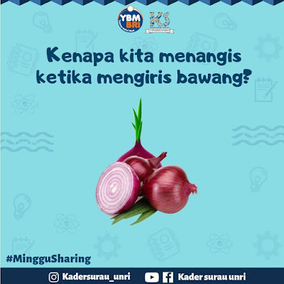 Kenapa Kita Menangis Ketika Mengiris Bawang, Padahal Tangan Tidak Keiris?