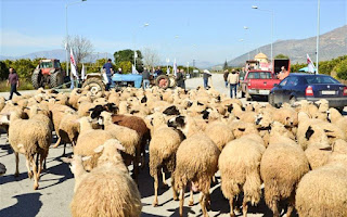 Συγκέντρωση  Αγροτικών και Κτηνοτροφικών Συλλόγων στην Αμφιλοχία