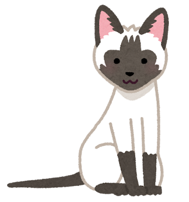 シャムのイラスト（猫）