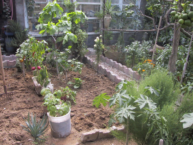Organically rich soil encourages the growth of healthy, extensive roots that are able to reach more nutrients and water. The result is: extra-productive growth above ground.
