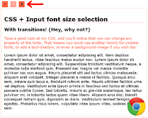 CSS Input font size selection