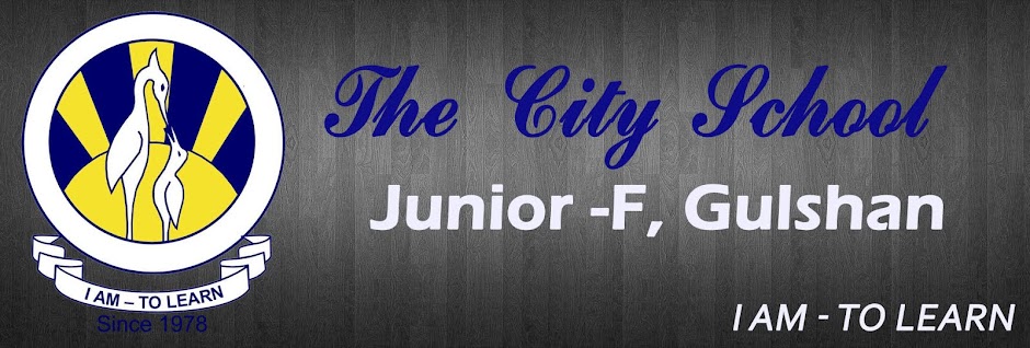 The City School - Junior F