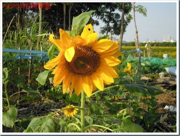 DSCN9867