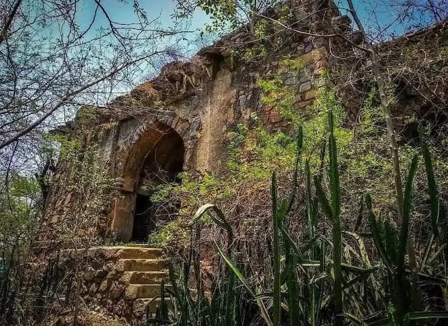 इस घर में ना बिजली थी, ना पानी की सप्लाई. आर्कियोलॉजिकल सर्वे ऑफ इंडिया के एक अफसर धर्मवीर शर्मा इस महल का निरीक्षण करने गए थे. एक सांप सीलिंग से उनकी बांह पर गिर गया. धर्मवीर ने उस वक्त कहा था कि अब मैं उस महल में कभी नहीं जा सकता. पता नहीं, बेगम कैसे रहती हैं वहां पर. सिर्फ छिपकलियां, सांप और चमगादड़ रहते हैं वहां पर. ये घर भुतहा लगने लगा था. पर कुछ लोगों को ये भी लगता कि इसमें खजाना छिपा हुआ है. जैसा कि हिंदुस्तान में हर महल को ले के लगता है. 24 जून 1994 को कुछ उत्साही लोग इस घर में उसी खजाने की तलाश में घुस गए. दोनों भाई-बहन डर गए. उन्हें डर हो गया कि कहीं ये लोग उनकी मां की कब्र ना खोद दें खजाने के चक्कर में.