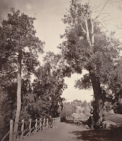 old picture of murree