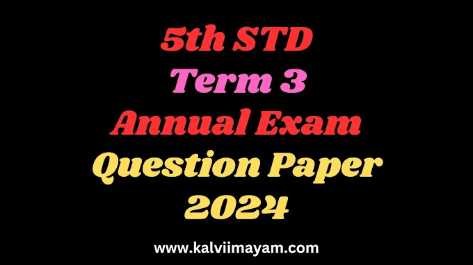 5th Term 3 Annual Exam Summative Assessment Question Paper 2024