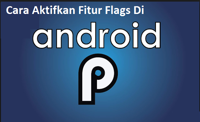 Cara Aktifkan Fitur Flag di android 9 Pie