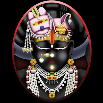 Shrinathji Darshan