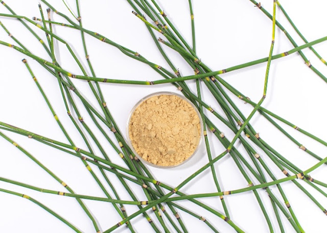 horsetail extract for hair growth