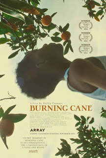 A young child standing amongst orange trees. The text reads 'Burning Cane'.