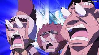 ワンピースアニメ ドレスローザ編 693話 小人族 Dwarves トンタッタ Tontatta | ONE PIECE Episode 693