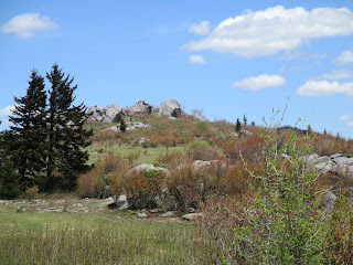 Boulders at Grayson Highlands State Park © Katrena