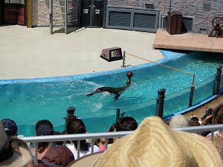Sea lion and otter show, Sea World, San Diego