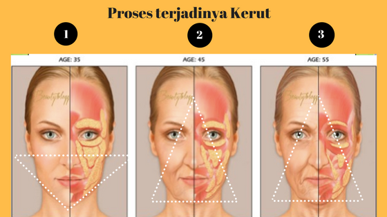 proses terbentuknya kerut