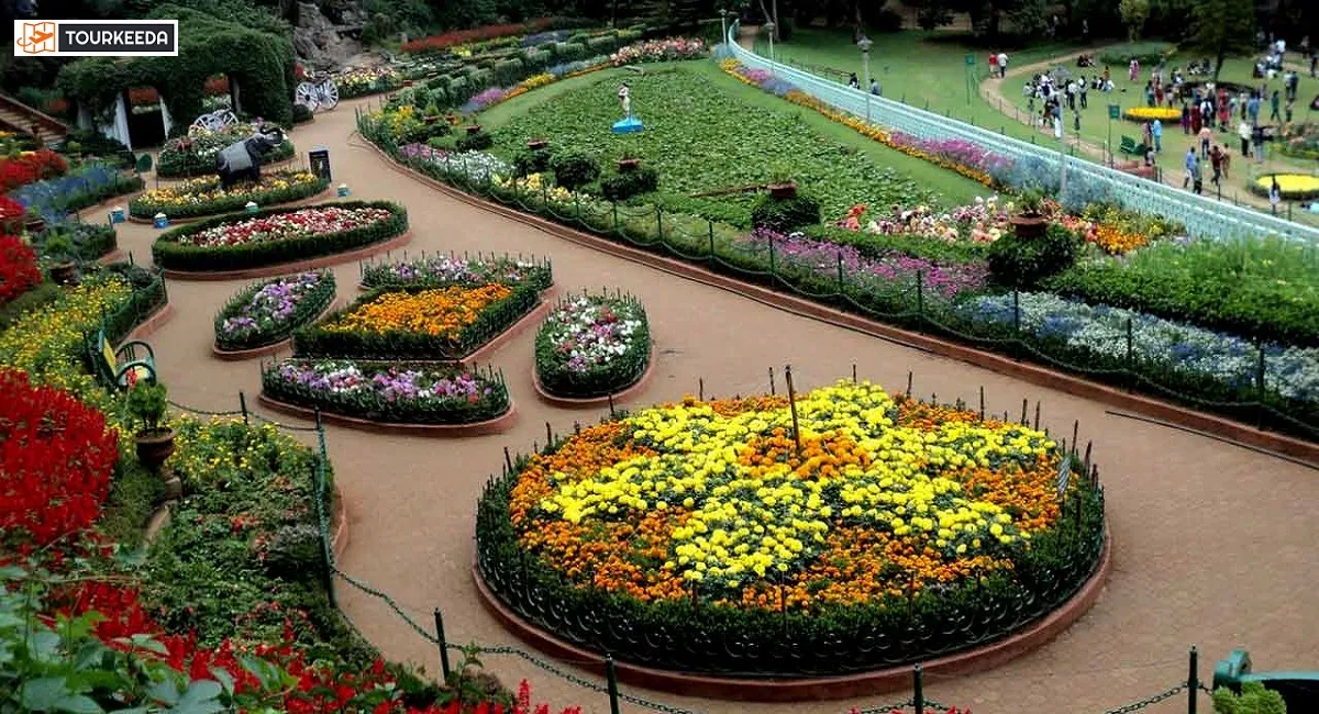 sims park One Day Coonoor tour by Cab