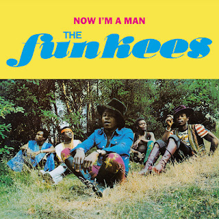 The Funkees "Now I'm A Man" 1976 Nigeria Afro Funk,Afro Beat