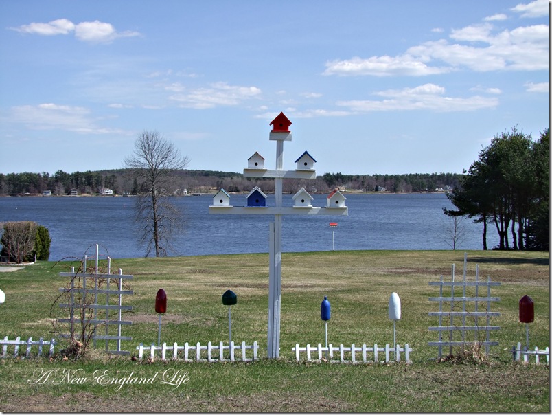 Bird houses bay view