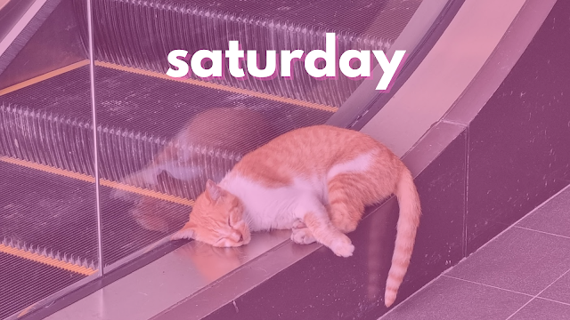 Saturday Cat