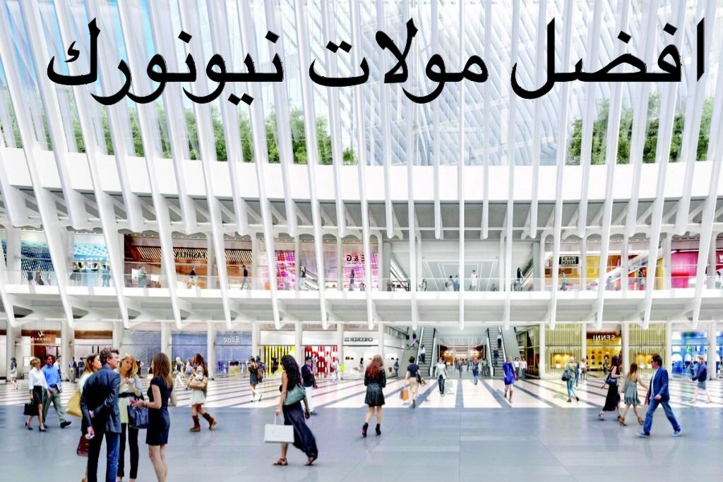 أفضل مولات تسوق في نيويورك لهذا العام ، أشهر المحلات التجارية في إمريكا أفضل مولات تسوق في نيويورك لهذا العام ، أشهر المحلات التجارية في إمريكا