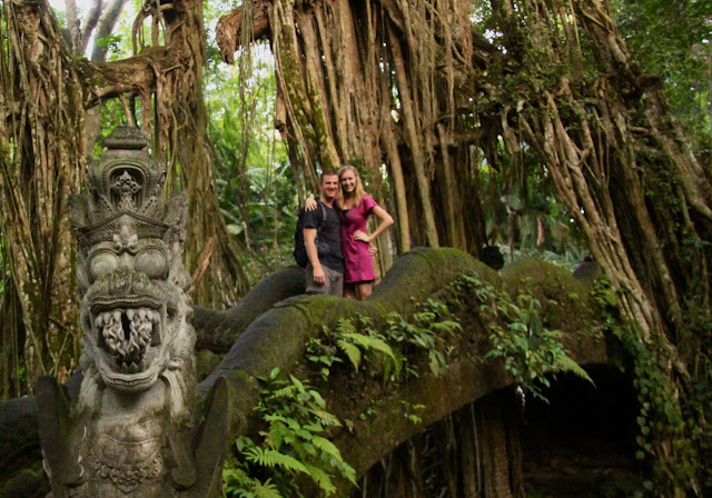 monkey sanctuary ubud bali