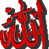 أجمل ما في