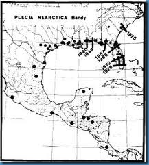 lovebug map