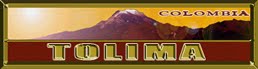 TOLIMA EL PÚBLICO