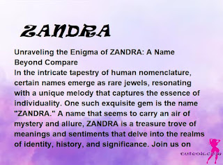 meaning of the name ZANDRA