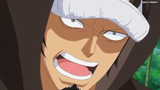 ワンピースアニメ ドレスローザ編 642話 トラファルガー・ロー かっこいい トラ男 Trafalgar Law | ONE PIECE Episode 642