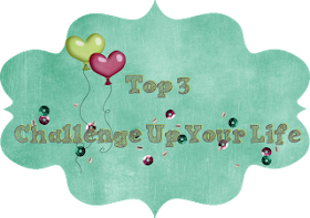 07/2017 Top 3 bei Challenge up your life