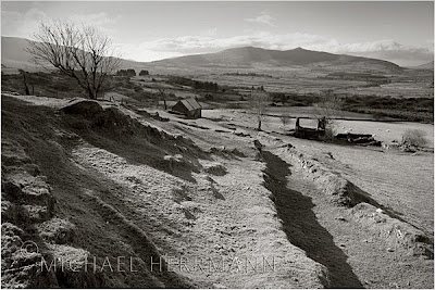 Black and White Landscape