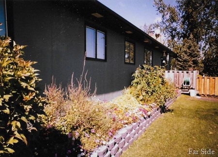New flower beds 1997 summer