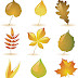 Autumn Leaves Pack - Vector