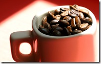 widescreen wallpapers (28)