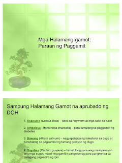   gamot sa almoranas, almoranas treatment, almoranas sa buntis, halamang gamot sa almoranas, itsura ng almoranas, healing galing almoranas, operasyon sa almoranas, patola gamot sa almoranas, katialis para sa almoranas