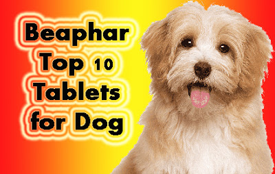 Beaphar Top 10