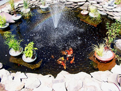 10 Fish Pond Minimalist Design