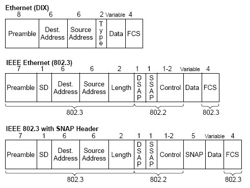 Ethernet Frame on Long Road To Ccie  Ethernet Frame Format