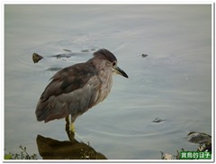 20101109_153933_010_DaAnPark