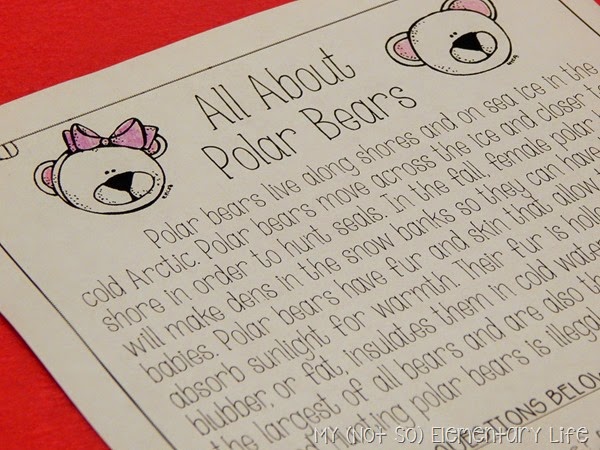 Polar Bear Reading Comprehension Passage