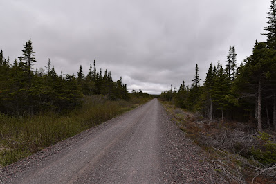 T'Railway Trail path Newfoundland.