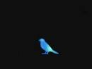 blue-bird-mp3-pembuka-naruto-shippuden