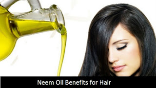 முடிவளர்ச்சிக்கு உதவும் வேப்ப எண்ணெய், neem oil health benefits, natural treatments  